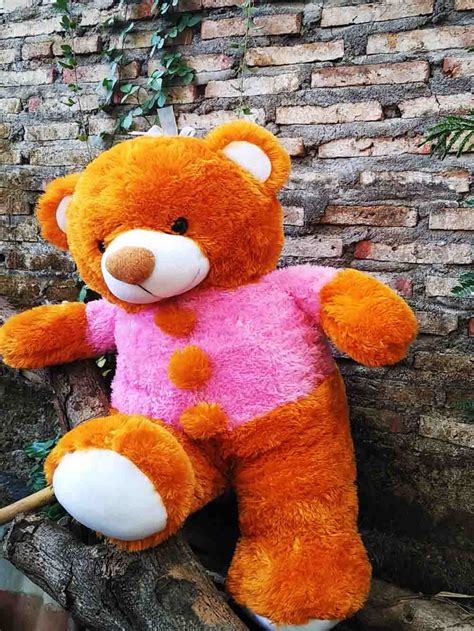 22 gambar tom and jerry petualangan kucing dan tikus. Jual Boneka Beruang Salsa Jumbo Warna Pink dan Coklat