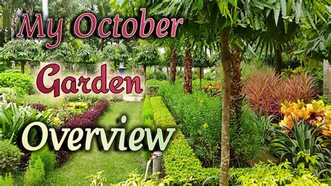 Overview Of October Garden Tour Of My Garden Youtube