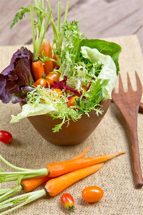 Garden Salad Bowl Stock Photo Image Of Lunch Organic 22766898