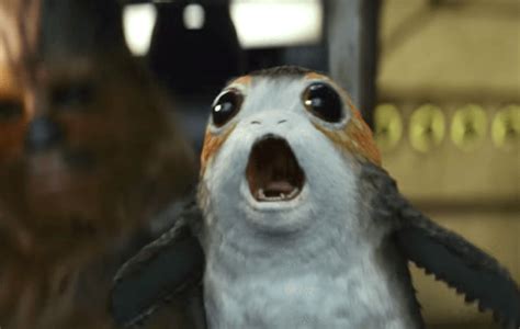 Star Wars These People On Twitter Want To Eat Porgs Heres Why