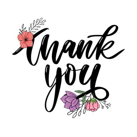 Premium Vector Thank You Handwritten Inscription Hand Drawn