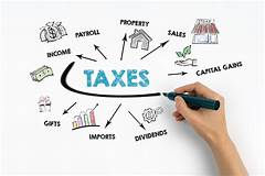Tax Strategies For Business Owners Dominate In Fannin County With The Commissioners Guidance
