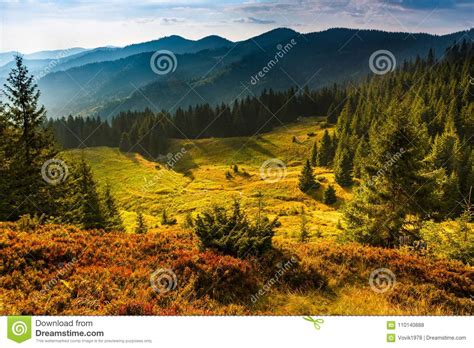 Majestic Landscape Of Summer Mountains A View Of The Misty Slopes Of