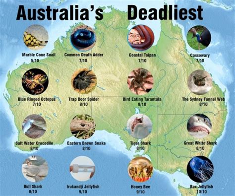 Pretty Much Everything In Australia Is Trying To Kill You 10 Pictures