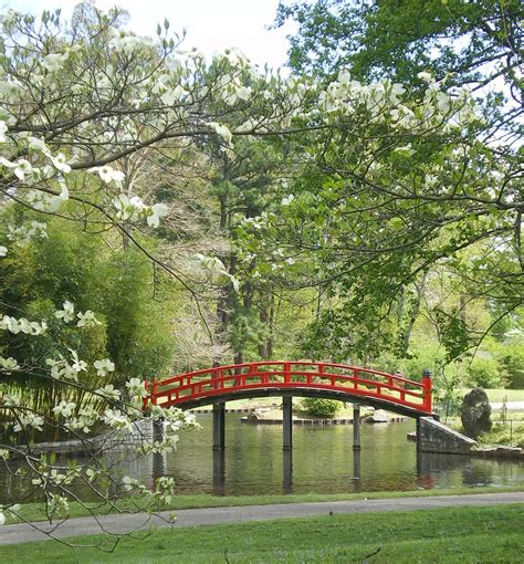 Bridge Japanese Garden Of Tranquility Bridge In The Japan Flickr