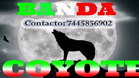 Al Baile Con Banda Coyote De Sabanillas Gro Youtube