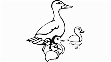 How To Draw A Cartoon Duck With Ducklings Video Easy Drawing