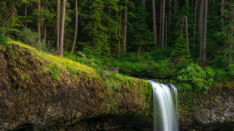 Download 1920x1080 United States Oregon Waterfall Moss Plants
