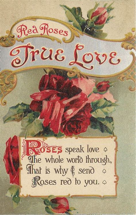 Vintage Postcard Language Of Flowers Red Roses True Love Ebay
