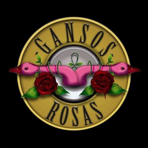 Imagen Símbolo Del Grupo Gansos Rosas