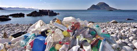 New Project Explores How Waste Pickers Can Help Solve The Ocean