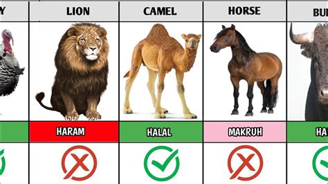 Halal And Haram Animal Meat In Islam Halal And Haram Meat In Islam