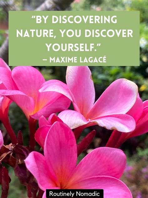 53 Short Nature Quotes Best Inspirational Thoughts On Nature