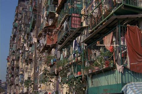 City Of Imagination Kowloon Walled City Amnesia International