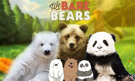 Check Out How The Three Famous Bears Featured As The Main We Bare Bears Characters Grizz Ice