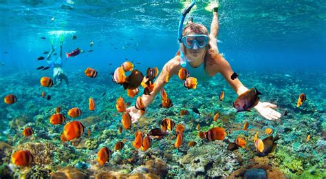 Elafonisi beach is consistently rated as one of the best places for snorkeling in crete. Découvrez le snorkeling en Crète