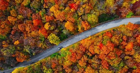 Fall Foliage Near Me Here Are The Best Places To Check It Out