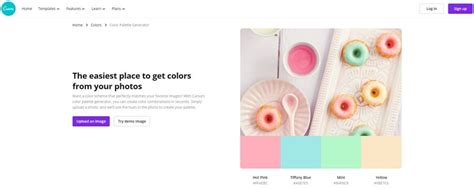 How To Use Canva Color Palette Generator Up Your Design