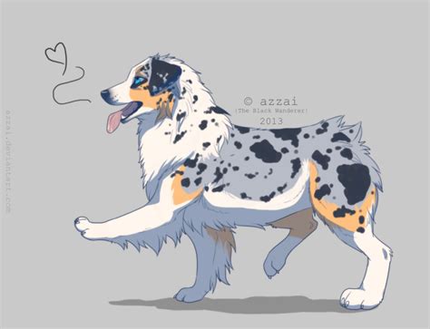 A U S S I E By Azzai On Deviantart Animal Sketches Cute Animal