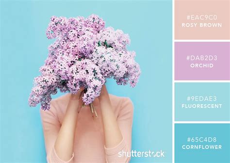 Color Combinations To Inspire Your Next Designcolor Combinations