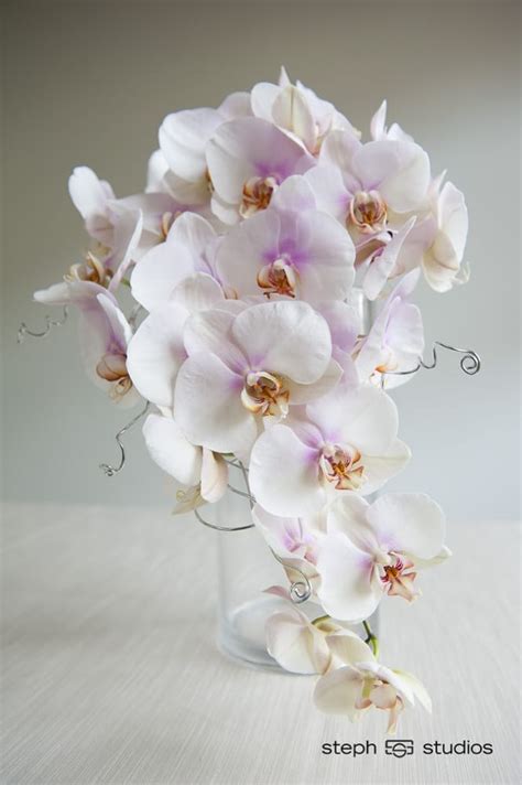 Phalaenopsis Orchid Bridal Bouquet Yelp