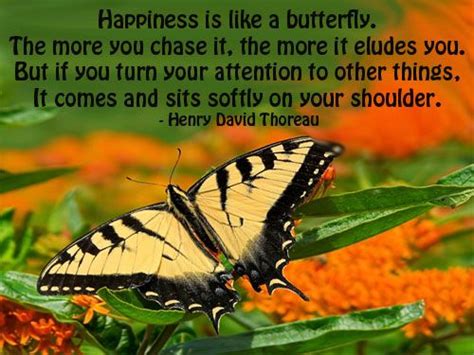 Thoreau Butterfly Quotes Happy Quotes Things To Come