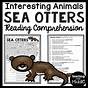 How Sea Otters Help Save The Planet Worksheet Answers