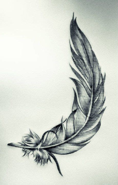 Tellas Feather In Fire And Flood Feather Drawing Feather Tattoo Design