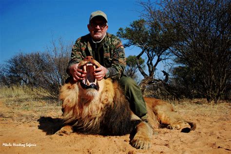 African Lion Hunting Safari Packages South Africa With The Experts