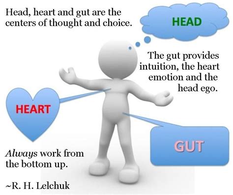 Head Heart And Gut Are The Centers Of Thought And Choice The Gut