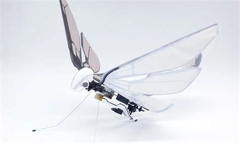 Biomimetic Robotic Insect Lets You Experience Flight Like Never Before