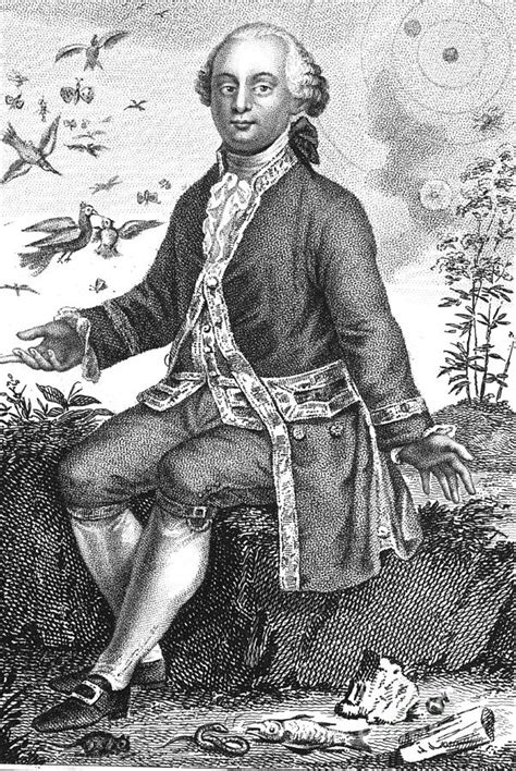Comte De Buffon French Naturalist Photograph By Science Source
