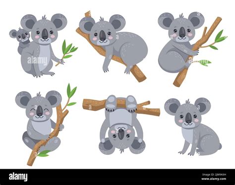 Lindo Koala Sentado En Un Juego De Dibujos Animados De Eucalipto