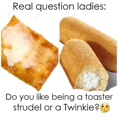 real question ladies do you like being a toaster strudel or a twinkie ands ifunny