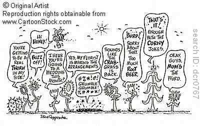 So go through our list and select whatever you want. GALLERY FUNNY GAME: 06/25/12