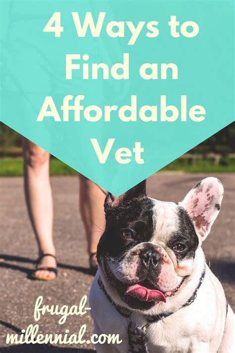 Don't worry there are several emergency vets near me and revolution of dogs service available. Your pup is a member of the family, and you want her to ...