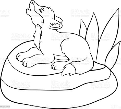 Feel free to print and color from the best 40+ wolf anime coloring pages at getcolorings.com. Coloring Pages Little Cute Baby Wolf Howls Stock ...