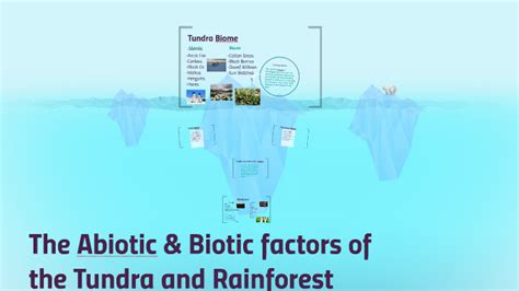 The Abiotic And Biotic Factors Of The Tundra And Rainforest By Liana F