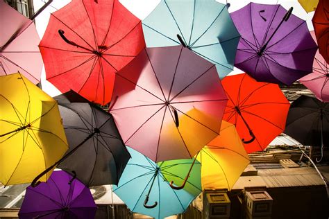 Assorted Color Umbrellas · Free Stock Photo