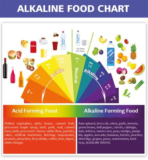 Ph Balance Your Body With An Alkaline Diet Stephanie Seban