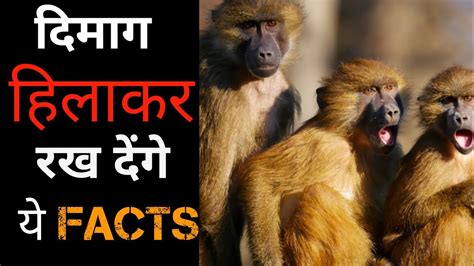 Amazing Facts In Hindi Most Interesting Facts In Hindi Factz Knowledge