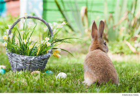 Etwas zurückhaltender im design präsentiert sich die klassische liege indiana von maisons du monde. Ostern im Garten - kreative Dekorationsideen für Draußen