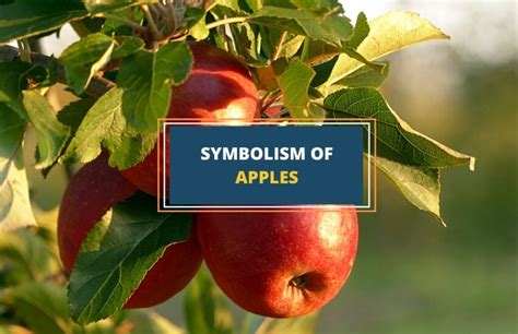 Apple - Symbolism and Meanings - Symbol Sage