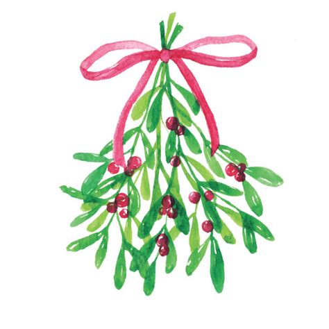 Royalty Free Mistletoe Clip Art Vector Images And Illustrations Istock
