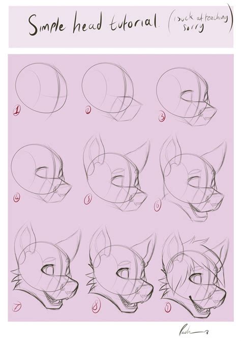 Incredible How To Draw A Furry Base