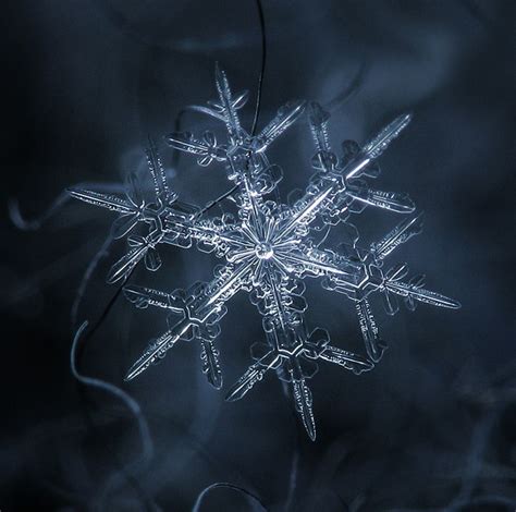 Amazing Close Up Photos Of Snowflakes Will Give You Goosebumps