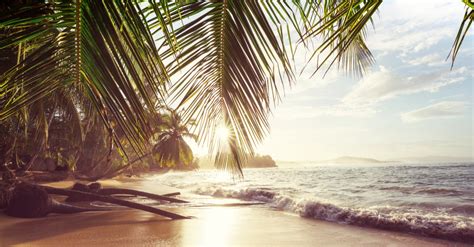 Flights To Costa Rica In The 200s And 300s Round Trip Clark Deals