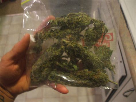 Ounces in a pound it is important to know how many ounces are in a pound of cannabis, as these are units of measurement for purchasing flower — the most commonly consumed form of marijuana. Ounce. Causes, symptoms, treatment Ounce