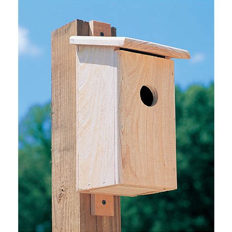 Cypress Blue Bird Nesting Box Forestry Suppliers Inc