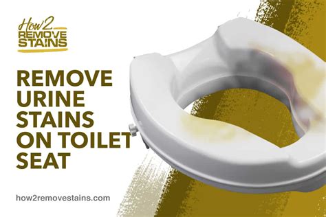 It also includes the causes of stains and the best products to remove them. How to remove urine stains on toilet seat  Detailed Answer 
